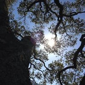 Luke Sauer's photo