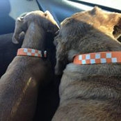 Terri Clemens's photo