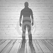 Stefano Spigarelli's photo