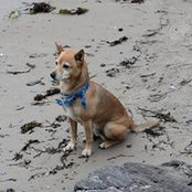 Amie Hayes's photo