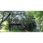 Colleen Browne's photo
