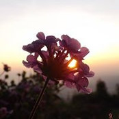 Foto di Didi Chung