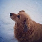 Meghan Crissinger's photo