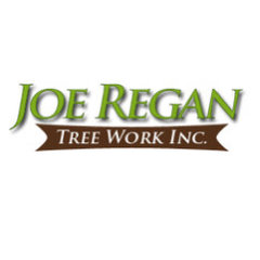 Joe's Tree Svc