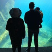 Stephen Solomon's photo