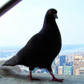 Rebecca Freeman's photo
