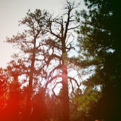 kasey flavin's photo