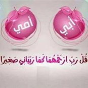 Noha Elaraby's photo