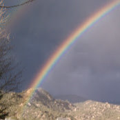 Bob R's photo
