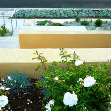 Landscape Ideas