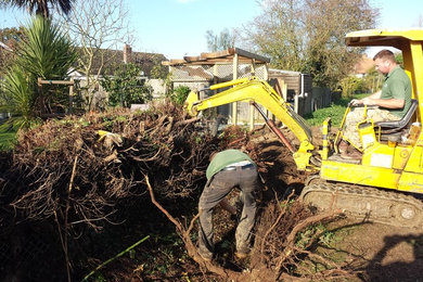 Tree surgery and hedge work