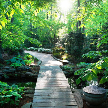 An Amazing Shade Garden