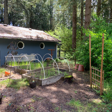 Veggie Garden Makeover