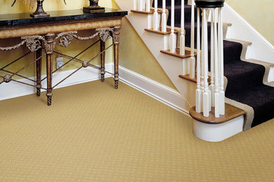 Photo of a mid-sized traditional carpeted straight staircase in Tampa with carpet risers.