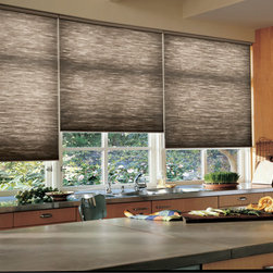 Hunter Douglas Shades - Window Treatments
