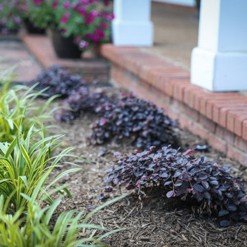 Irrigation & Landscape