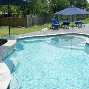 Freeform Pool with Curved Raised Wall and Sun Deck