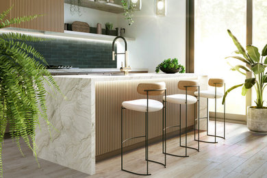 Example of a minimalist kitchen design in Dallas