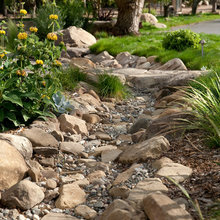 Rain Gardens