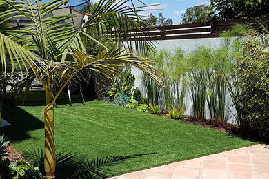 Design ideas for a mediterranean landscaping in San Diego.