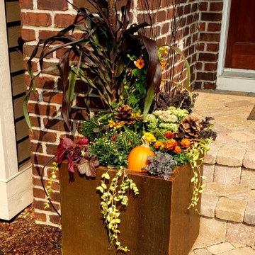 Fall/ Halloween Container Gardens
