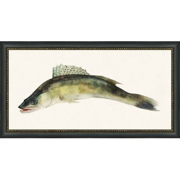 Fresh Catch 3, Giclee Reproduction Artwork