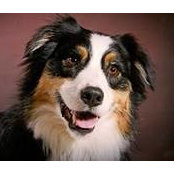 Suzanne Kasprzak's photo