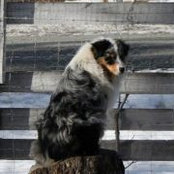 Foto von Deb Brown