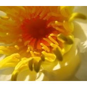 Nancy Cooper's photo