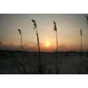 Chris Satterwhite's photo