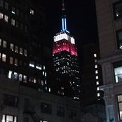 Stephanie Carrara-Butler's photo