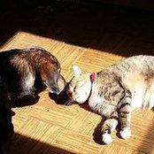 Foto von Vickie Tarling