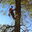 Timberscapes Tree & Property Services