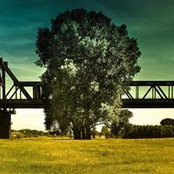 Peter Wrobel's photo