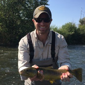 Stephen Russell's photo