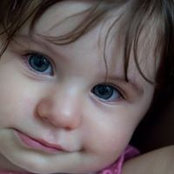Dov Haselkorn's photo
