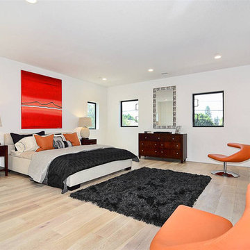 Modern Santa Monica Home