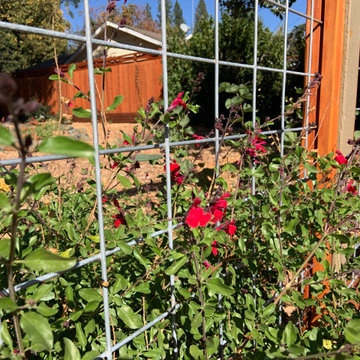 Contemporary update for a 1950s corner lot
