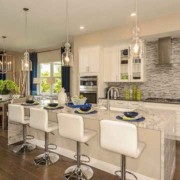 Eco Friendly Homes Tampa