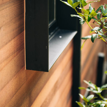 Modern Trim and Windows