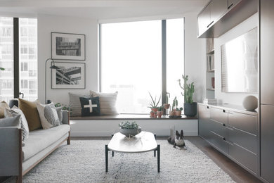 Living room - living room idea in New York