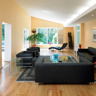 Inredning av ett modernt vardagsrum, med orange väggar, ljust trägolv och brunt golv