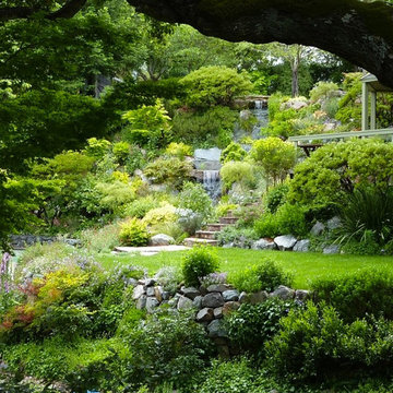 Napier Garden