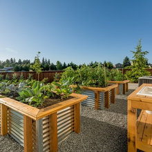 Raised Garden