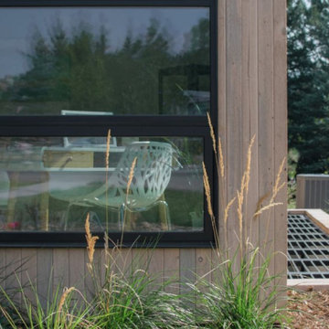 Meadow Project