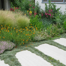gail's front yard redo