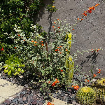New Mexico in Pasadena