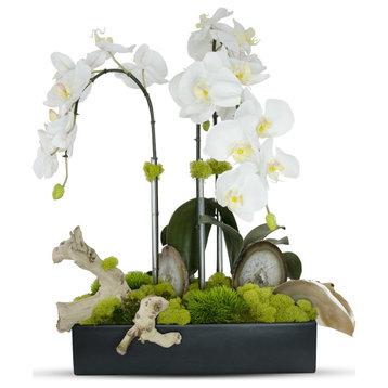 Orchids in Rectangle Ceramic Container