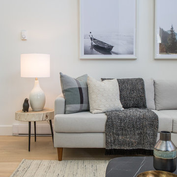 Living Room - Contemporary