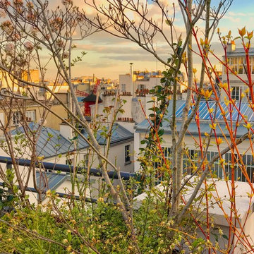 toit terrasse imaginé comme un jardin au dessus du Moulmin Rouge